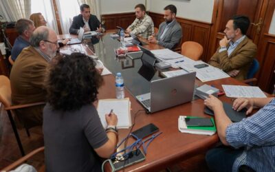 El ITER facilitará la conexión de instalaciones de renovables con una nueva subestación eléctrica