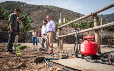 El Cabildo impulsa una nueva convocatoria del concurso de proyectos empresariales ‘Premios Agrojoven’