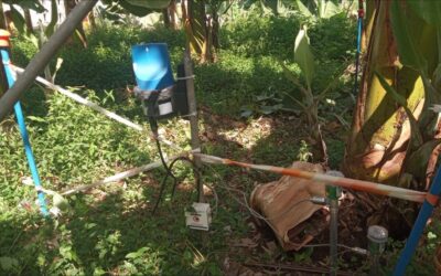 Transformación Digital para la Gestión Sostenible del Agua en la Agricultura: Proyecto REGADIA