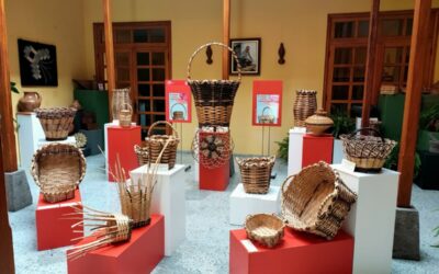 El Cabildo  fomenta y promociona la artesanía con una muestra de cestería en El Rosario